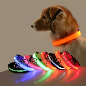 Collar para perro LED de seguridad nocturna